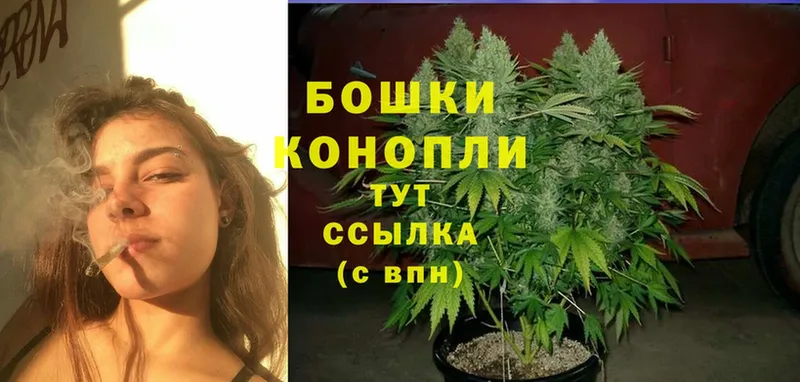 цена   Гдов  Шишки марихуана Bruce Banner 